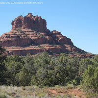 Buy canvas prints of Bell Tower Rock Sedona by Adrian Beese