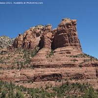 Buy canvas prints of Sedona Giant by Adrian Beese