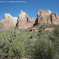 Buy canvas prints of Temples and Towers Mountain Zion National Park by Adrian Beese