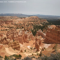 Buy canvas prints of Bryce Canyon Amphitheatre Utah by Adrian Beese