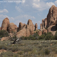 Buy canvas prints of A all of red rock pillars in Arches National Park by Adrian Beese
