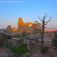 Buy canvas prints of Desert dawn at Arches National Park by Adrian Beese