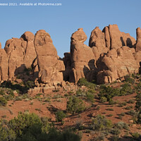 Buy canvas prints of Devils Garden early morning in Arches National Park by Adrian Beese