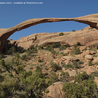 Buy canvas prints of  Delicate Arch in the Devils Garden  by Adrian Beese