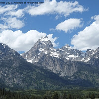 Buy canvas prints of The Grand Teton Mountain Range by Adrian Beese