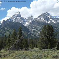 Buy canvas prints of The Grand Tetons Mountain Range by Adrian Beese