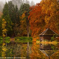 Buy canvas prints of The Boathouse by Martin Slowey