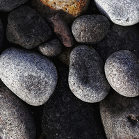 Buy canvas prints of Vivid Pebbles Texture by Dave Massey