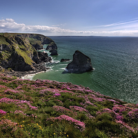 Buy canvas prints of Spring Flowers on Cliffs by Dave Massey