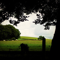 Buy canvas prints of The sillouette and the sheep... by Andy Blackburn