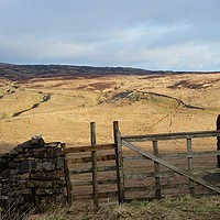 Buy canvas prints of Gate with a view - on Shap Fell, Cumbria...  by Andy Blackburn