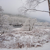 Buy canvas prints of Winter In Perthshire          by Gordon Pollock