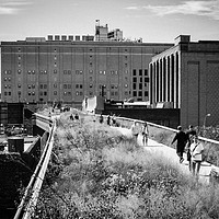 Buy canvas prints of Highline Park, NYC by Brent Olson