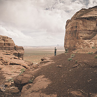 Buy canvas prints of Desert Walk by Brent Olson