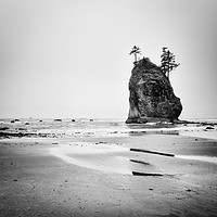Buy canvas prints of Olympic Coast by Brent Olson