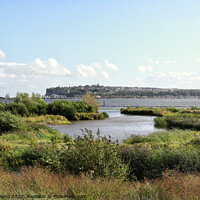 Buy canvas prints of Cardiff Bay Wetlands Nature Reserve by Kevin Round