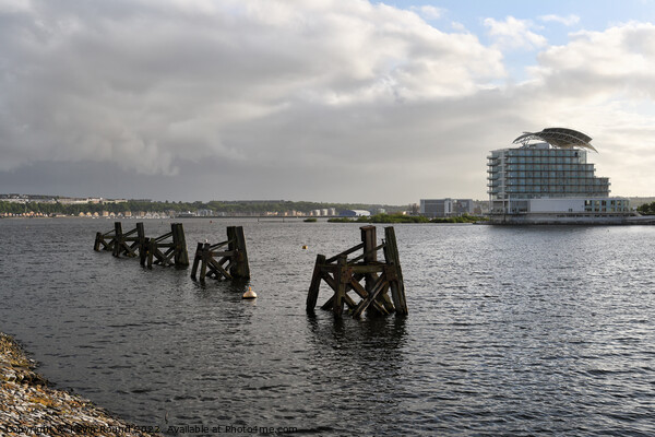 Cardiff bay skyline Picture Board by Kevin Round