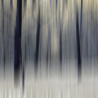 Buy canvas prints of Blurred Wintry Wood by Kevin Round