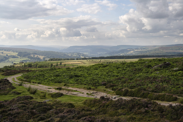 Curbar Edge Moorland landscape Picture Board by Kevin Round