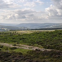 Buy canvas prints of Curbar Edge Moorland landscape by Kevin Round