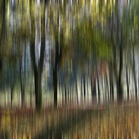 Buy canvas prints of Woodland Blur by Kevin Round
