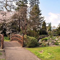 Buy canvas prints of  Swansea Botanical Gardens by Peter McIlroy