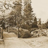 Buy canvas prints of  Swansea Botanical Gardens by Peter McIlroy