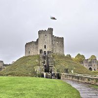 Buy canvas prints of Cardiff Castle by Peter McIlroy