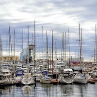 Buy canvas prints of  Barcelona Marina by Peter McIlroy