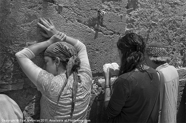 Woman pray at the western Wall (Kotel) Jerusalem,  Picture Board by Eyal Nahmias