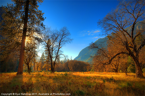 Yosemite National Park Picture Board by Eyal Nahmias