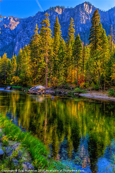 Reflections on the Merced river, Yosemite National Picture Board by Eyal Nahmias