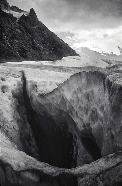 Gray glacier, Torres Del Pine, Chile Picture Board by Eyal Nahmias