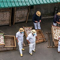 Buy canvas prints of Madeira Toboggan Ride on Traditional Wicker Basket Sledges by Jo Sowden
