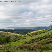 Buy canvas prints of View from the B3212 near Postbridge, Dartmoor by Jo Sowden