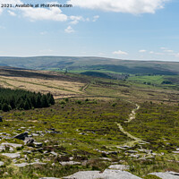 Buy canvas prints of View from Bellever Tor by Jo Sowden