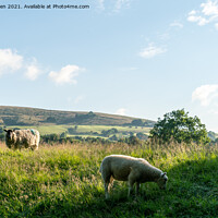 Buy canvas prints of Lose Hill, Peak district by Jo Sowden