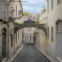 Buy canvas prints of Lisbon Side street by Jo Sowden