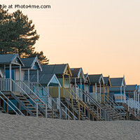 Buy canvas prints of Wells Beach Huts (4) by Jo Sowden