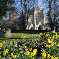Buy canvas prints of Spring in St Albans by Jo Sowden