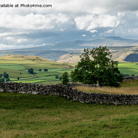 Buy canvas prints of Ingleborough, Yorkshire Dales by Jo Sowden