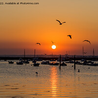 Buy canvas prints of Sunset in West Mersea by Jo Sowden