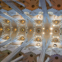 Buy canvas prints of Ceiling in Sagrada Familia by Jo Sowden
