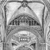 Buy canvas prints of Barcelona Old Cathedral (Mono) by Jo Sowden