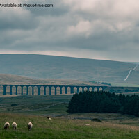 Buy canvas prints of Ribblehead from a distance by Jo Sowden