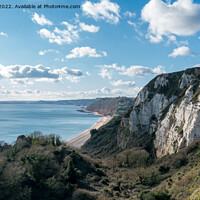 Buy canvas prints of View from Beer Head towards Sidmouth, Devon by Jo Sowden