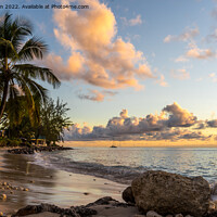 Buy canvas prints of Caribbean Barbados Sunset by Jo Sowden
