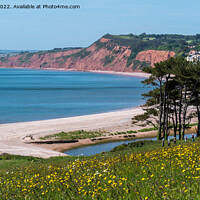Buy canvas prints of Budleigh Salterton by Jo Sowden