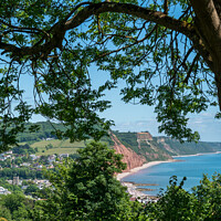 Buy canvas prints of Sidmouth from peak Hill by Jo Sowden