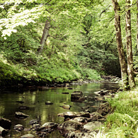 Buy canvas prints of The River Teign, Dartmoor by Jo Sowden